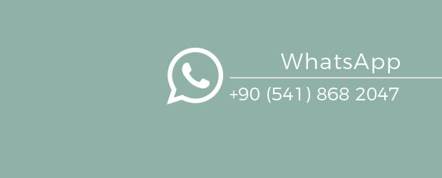 Çek Yükle Mesaj At WhatsApp Hasar Tespiti
